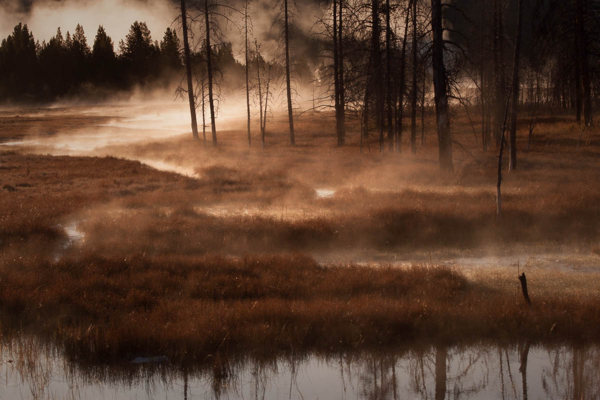 Camille LaPlaca-Post - Misty Morning in Yellowstone